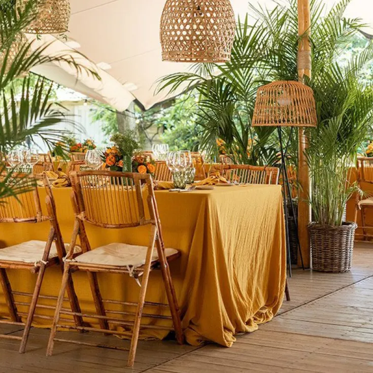 Nappe 2,80m x 3,10m Curry - Gaze de coton