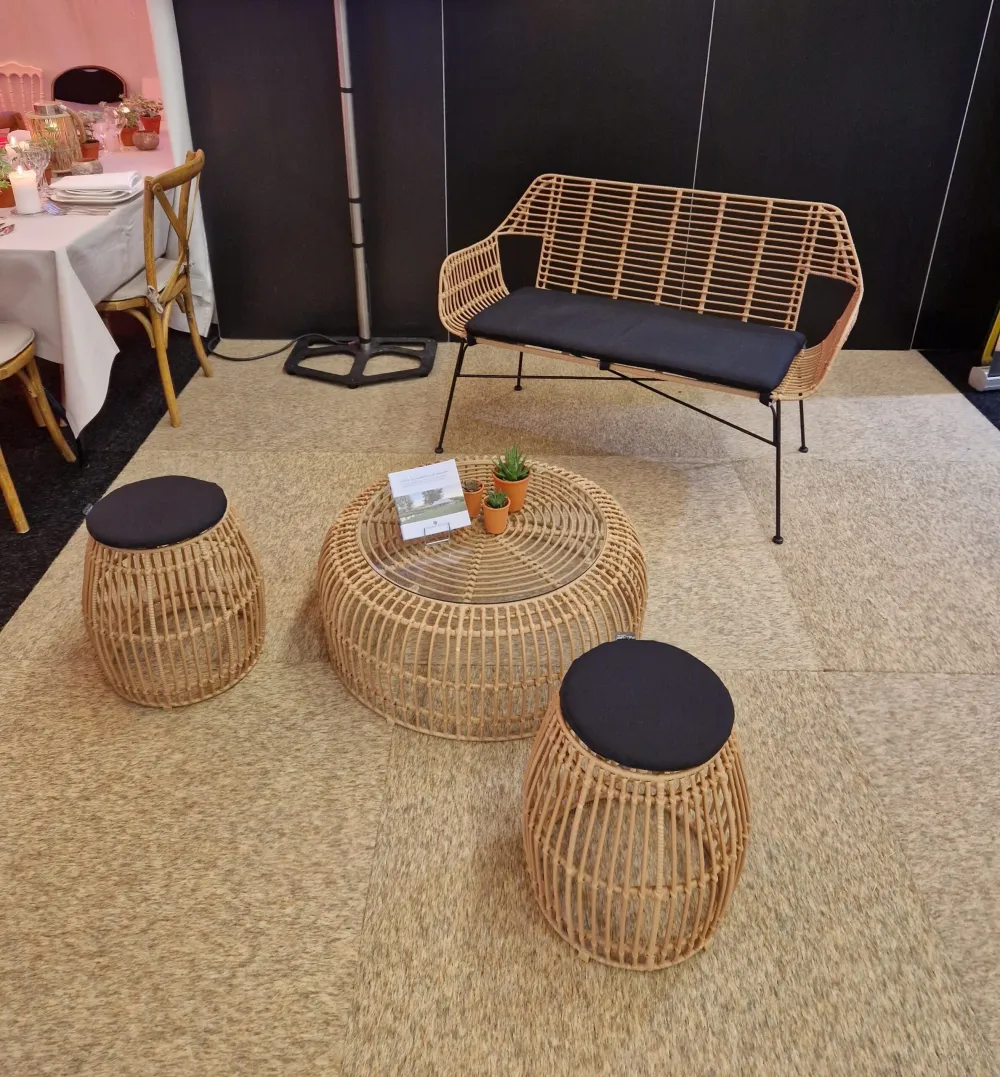 Salon Palm