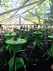 Tente 10m x 25m transparente &ndash; 250m&sup2;
