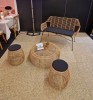 Salon Palm